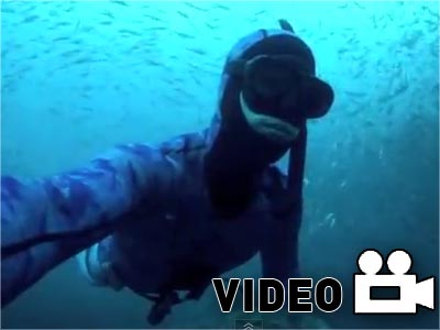 Ελεύθερη κατάδυση στη Φλόριντα